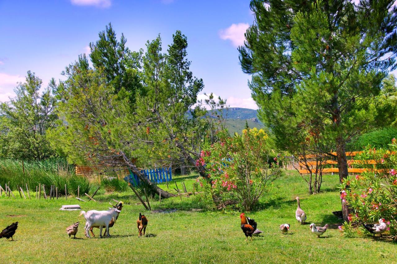 Camping La Peiriere Tuchan Zewnętrze zdjęcie